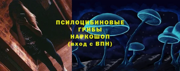 дурь Пестово