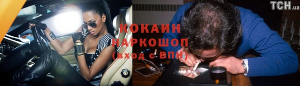 хмурый Пересвет
