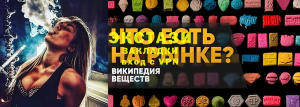 хмурый Пересвет