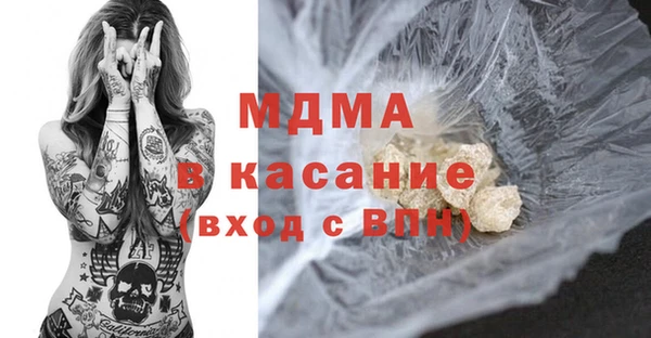 хмурый Пересвет