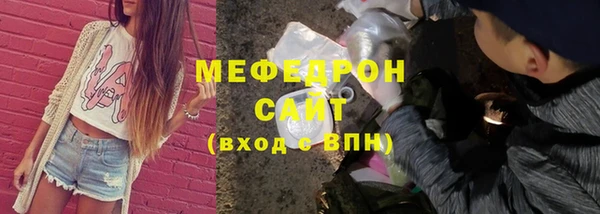 хмурый Пересвет