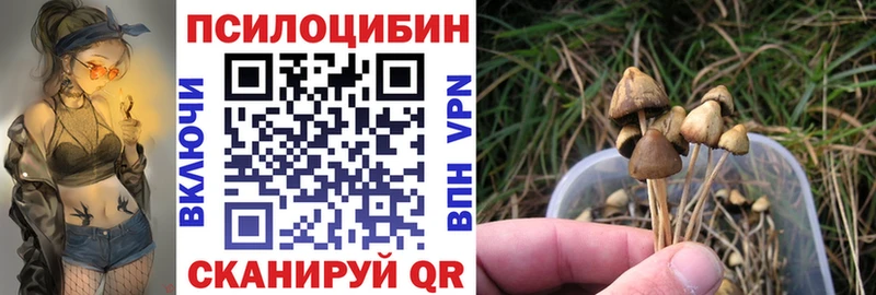 наркотики  Алдан  Псилоцибиновые грибы мухоморы 